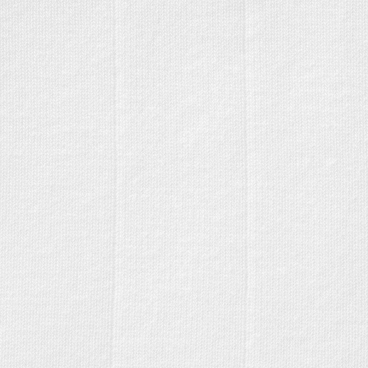 DROP NEEDLE POINTELLE BABY TEE | SNOW