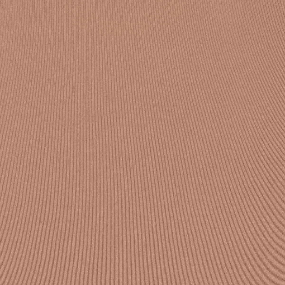 SEAMLESS SCULPT HIGH-WAISTED THONG | SIENNA